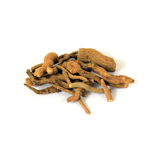 Sarpgandha Roots - Asrol Roots - Asrol Jadd - Choti Chandan - Snake Root - Rauvolfia serpentina |