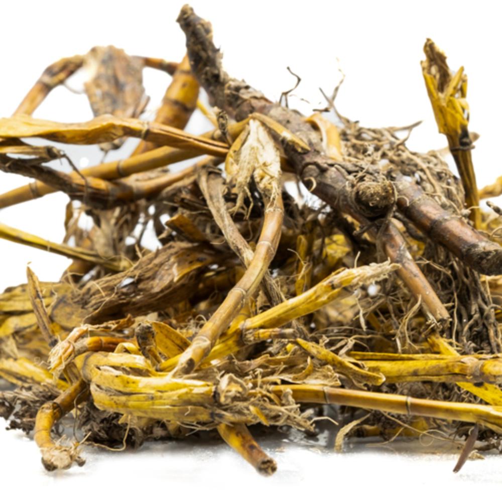 Jivanti Roots - Jiwanti Jadd - Jeevanti Roots - Leptadenia Reticulata | TheWholesalerCo |