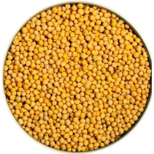 Yellow Mustard Seeds - Peeli Sarson Beej - Sinapis alba - White Mustard