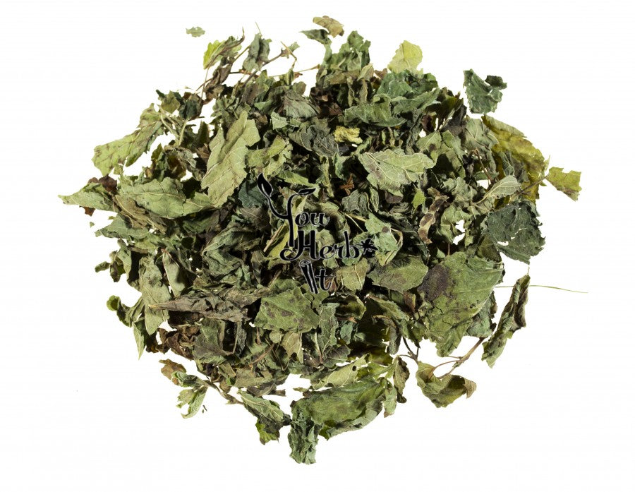 Dry Lemon Balm - Melissa officinalis | TheWholesalerCo |