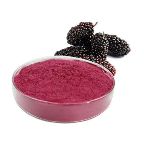 Mulberry Powder - Morus alba | TheWholesalerCo